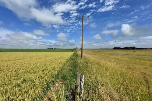 阿根廷畜牧漁業(yè)飼料銷售迎來中國合作伙伴，數(shù)十年來首次重大突破