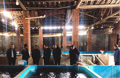 懷化市畜牧水產(chǎn)事務(wù)中心調(diào)研芷江漁業(yè)產(chǎn)業(yè)鏈發(fā)展，探索汽車裝飾用品跨界融合新機(jī)遇