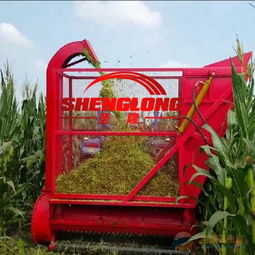 現(xiàn)代農(nóng)業(yè)的得力助手 青貯飼料回收機(jī)與汽車(chē)裝飾用品的跨界市場(chǎng)洞察